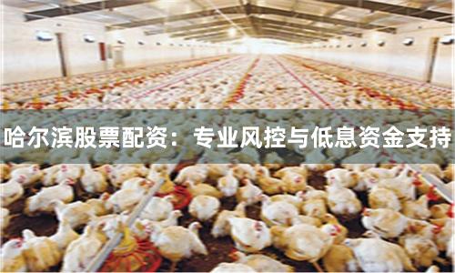 哈尔滨股票配资：专业风控与低息资金支持