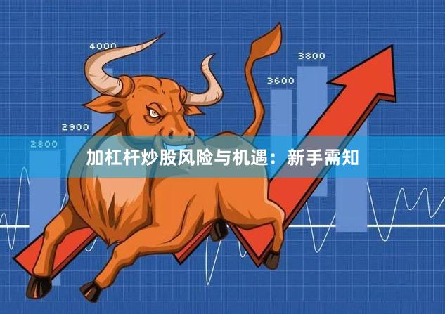 加杠杆炒股风险与机遇：新手需知