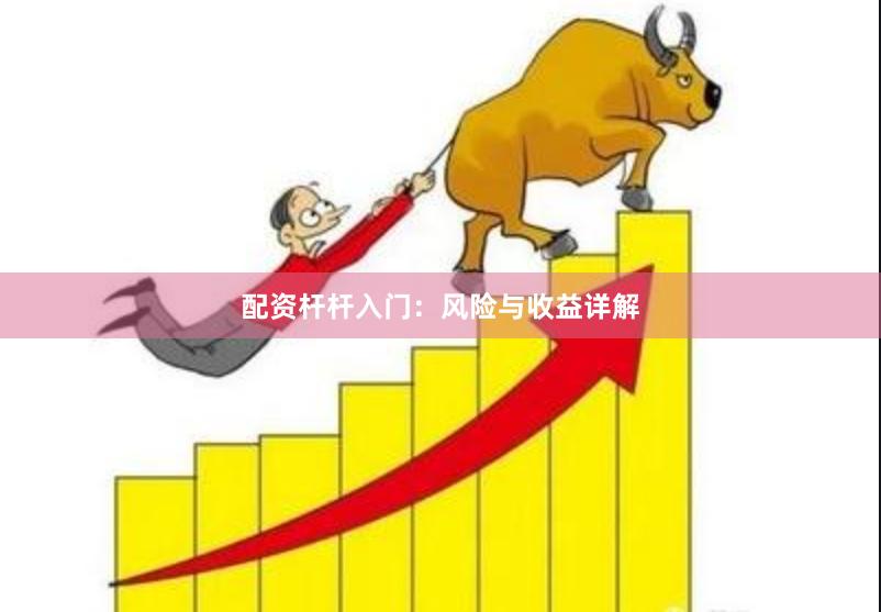 配资杆杆入门：风险与收益详解